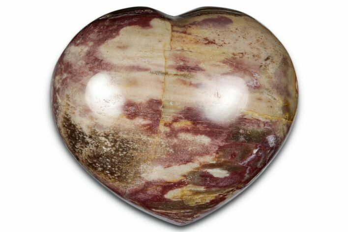 Polished Triassic Petrified Wood Heart - Madagascar #344028